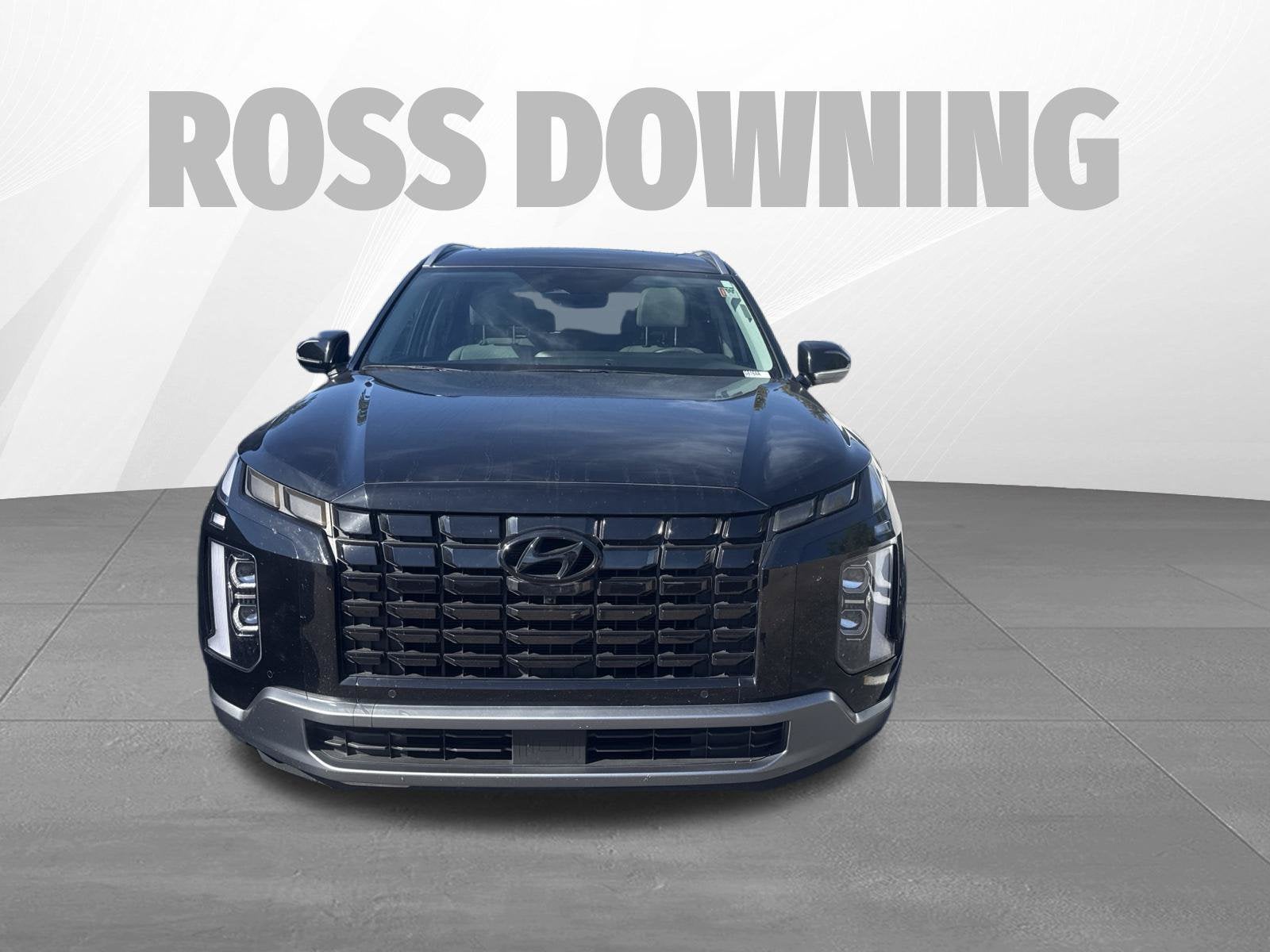 2024 Hyundai Palisade SEL 7P